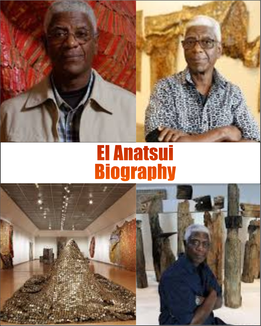 El Anatsui Biography