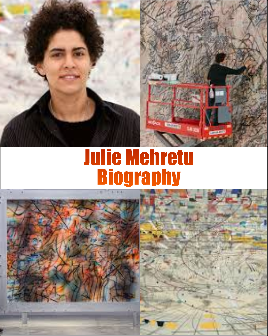 Julie Mehretu Biography