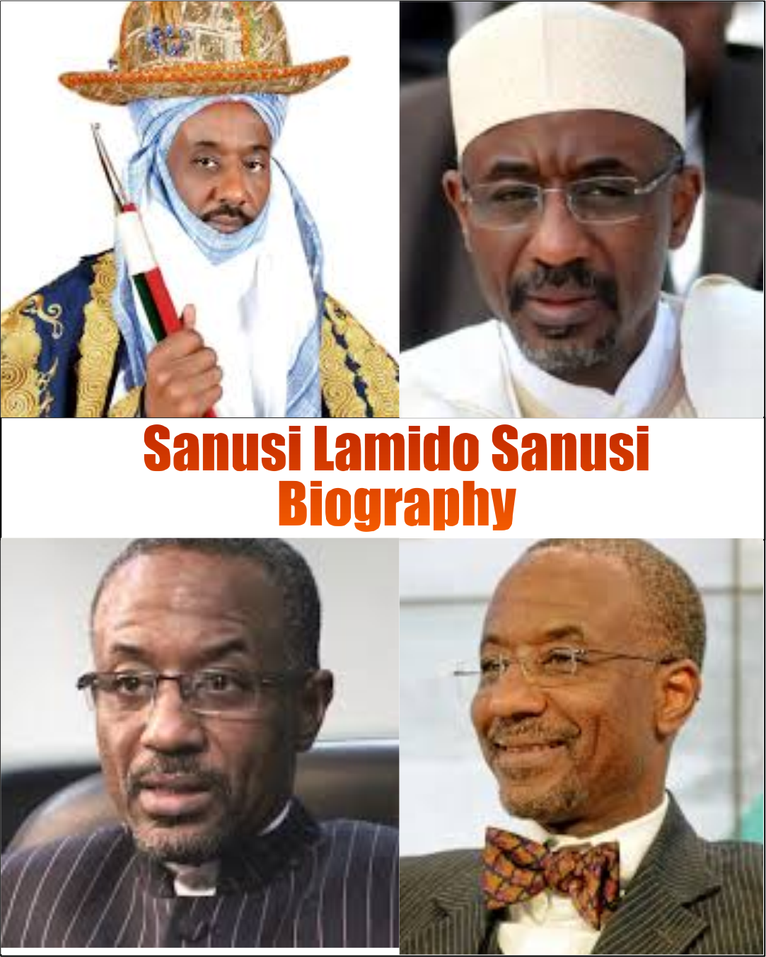 Sanusi Lamido Sanusi Biography