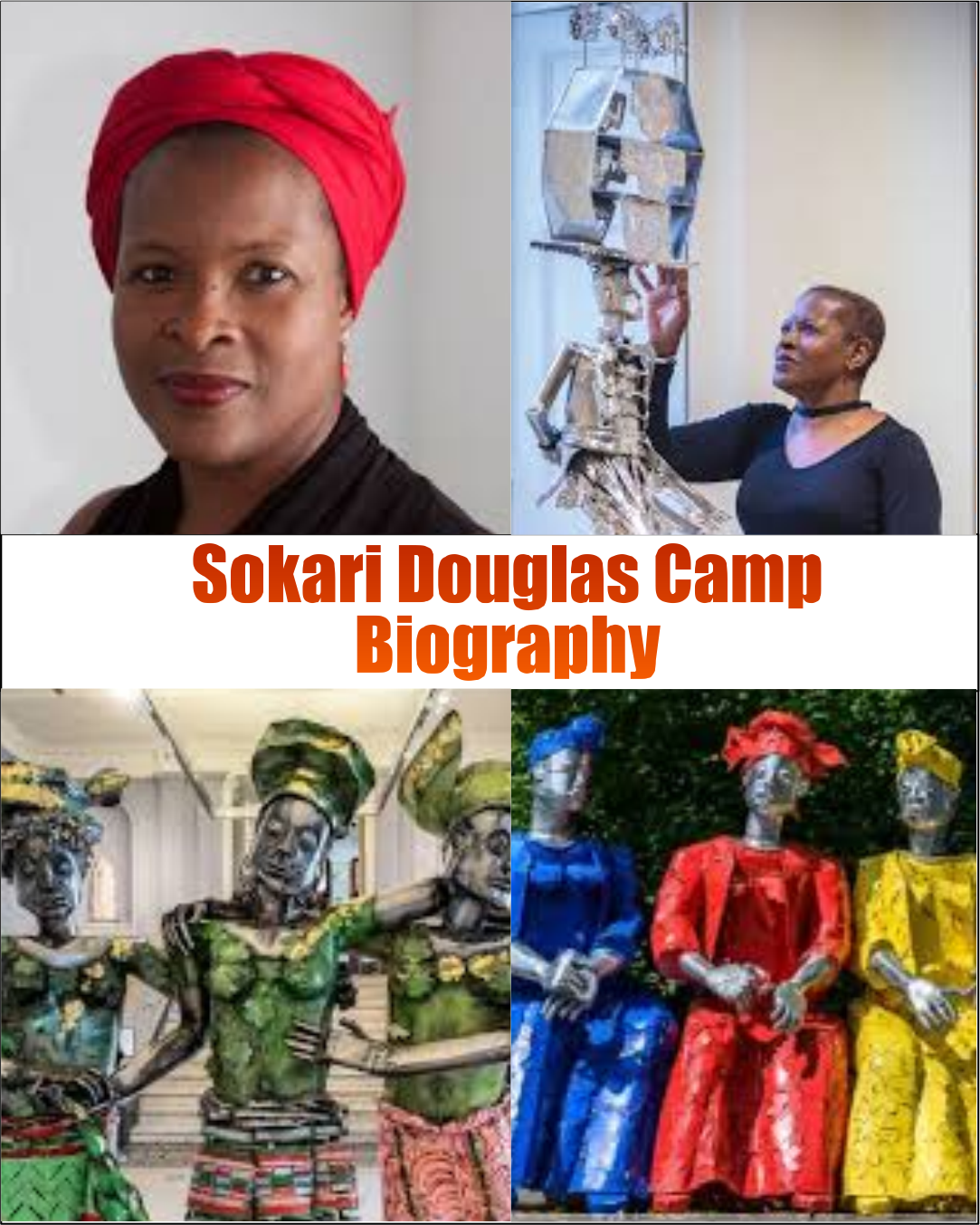 Sokari Douglas Camp Biography